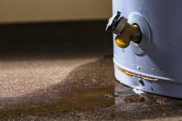 Best Sewage cleanup and water damage restoration  in Glasgow, MT