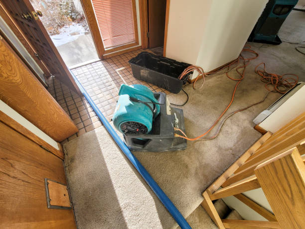 Best Sewage cleanup and water damage restoration  in Glasgow, MT