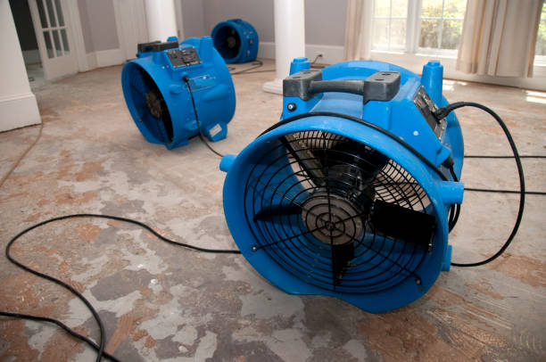 Best Ceiling water damage repair  in Glasgow, MT